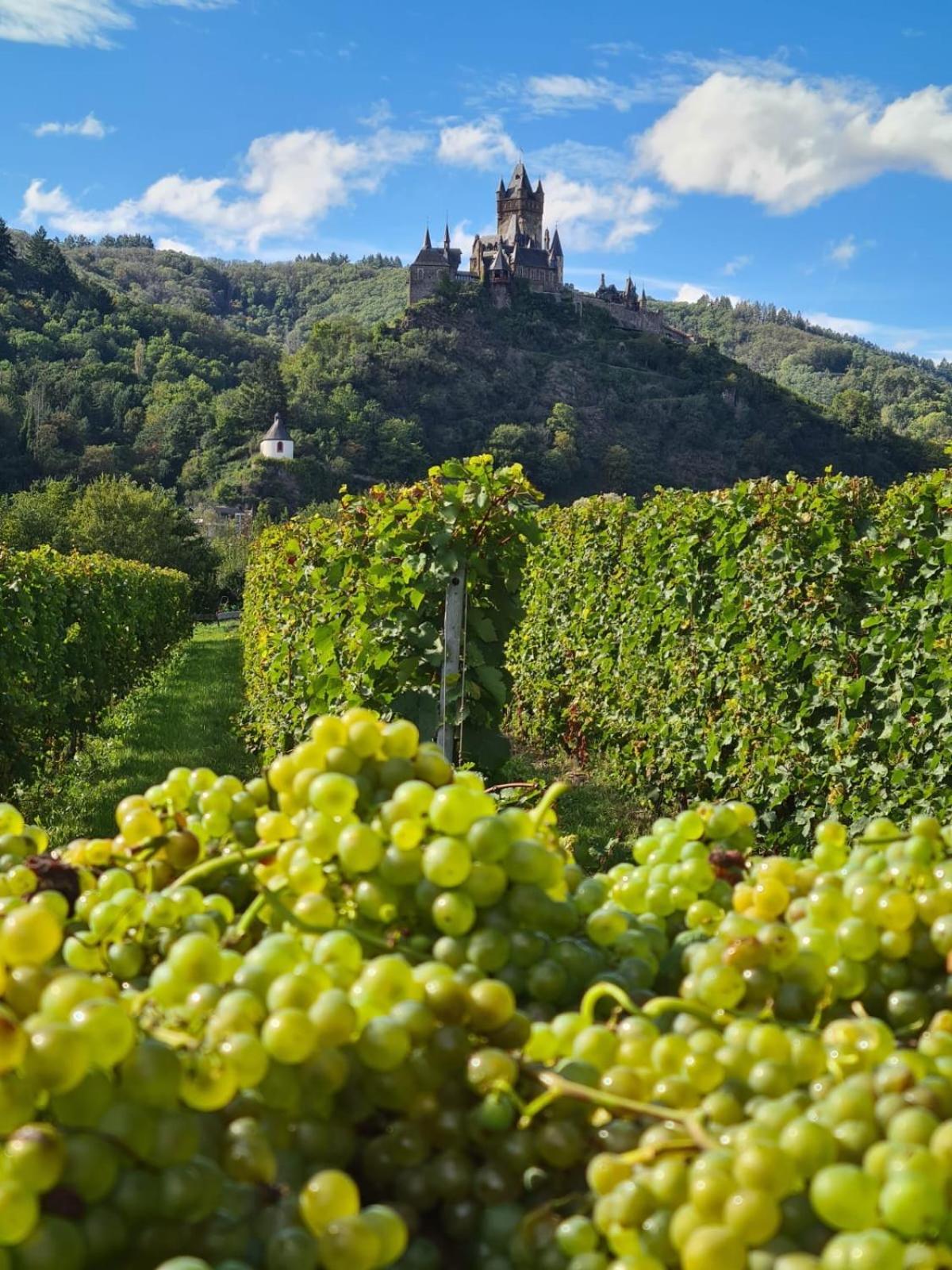 Weingut Gaestehaus Bach Cochem Exteriér fotografie